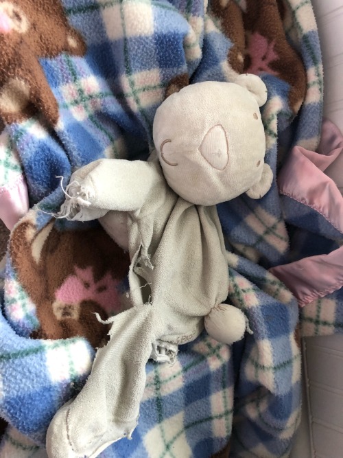 This Is Poley! She Is My Lovey. Ive Had Her For Forever And I Love Her So Much! Shes A Polar Bear An