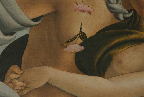 inividia:The Birth of Venus (detail), 1486. Sandro Botticelli