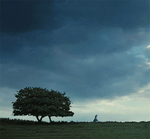 duchessofhastings:Forgive me, Madam, for taking up so much of your time.PRIDE AND PREJUDICE (20