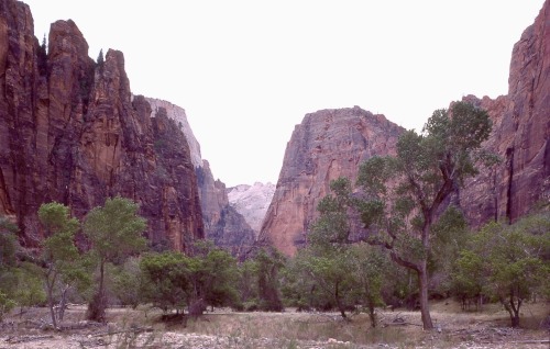 Zion National Park, Utah, 1976.