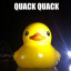 chaosduckies