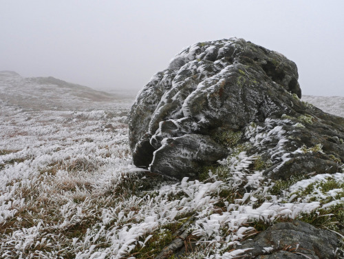 90377:  Ben Ledi ice crystals by Niall Corbet adult photos