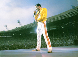thegroovyarchives:Freddie MercuryFrom Queen: