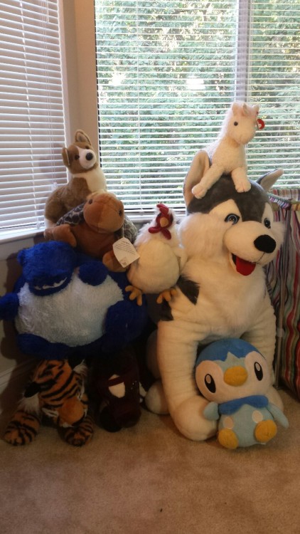 My Stuffies*. These are my favorites. I especially love the big dog, which I won at an amusement par