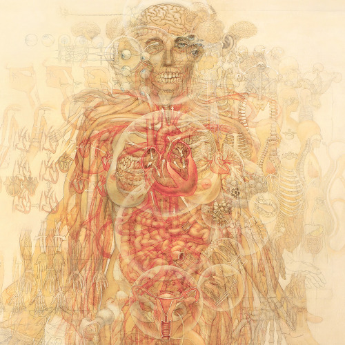 devidsketchbook: HUMAN ANATOMY BY CASEY CRIPE Artist, Scientist Casey Cripe (flickr / vimeo) - &ldqu