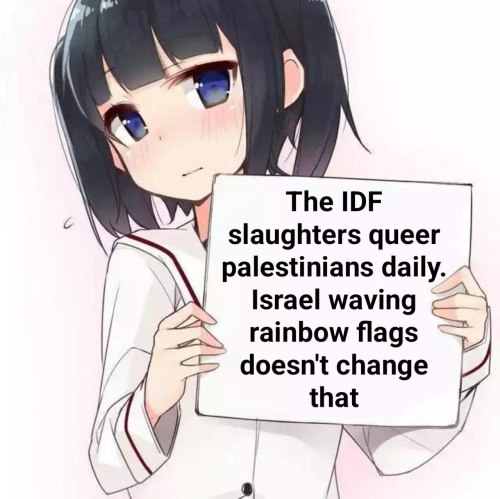 Resist Pinkwashing