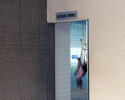 shibartiste:  Men locker room / Vestiaire