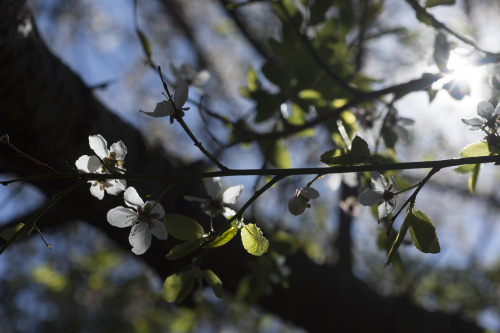 sunny spring day