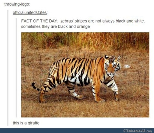 000hidinginthelight000: itsstuckyinmyhead: Train Wreck Tumblr Posts These literally never get old.