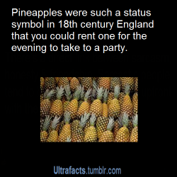 ultrafacts:  The pineapple was originally