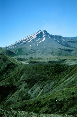 eyeleaves:  scurvy_knaves,  Windy Ridge trail (Mount St. Helens). 2010Windy Ridge trail runs along the north side of Mount St. Helens. It can be challenging at some sections but it’s really just a good, long, difficult hike, nothing more. To the north