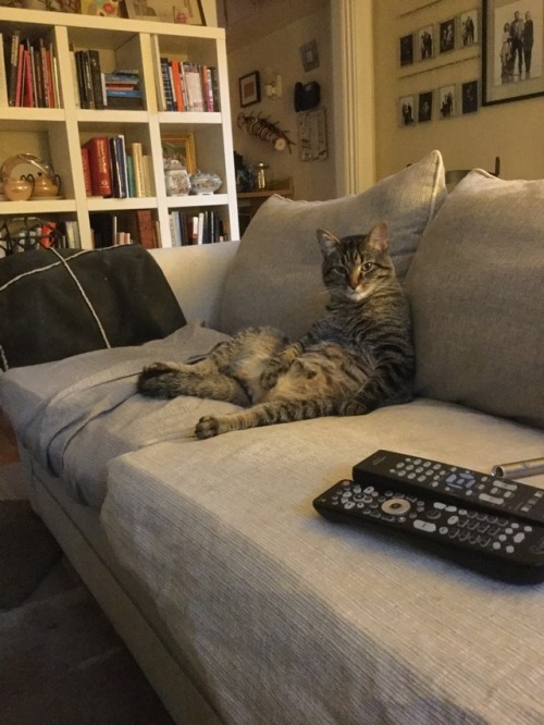 roylustang:why does he sit like a grandpa who fell asleep watching tv