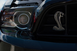 carpr0n:  Starring: Shelby GT500by sean.m.c