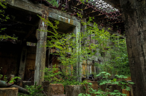 Abandoned “Taro Mine” - A田老鉱山 2016,日本