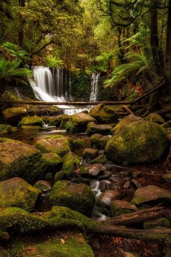 sublim-ature:  Horseshoe Falls, Tasmania,