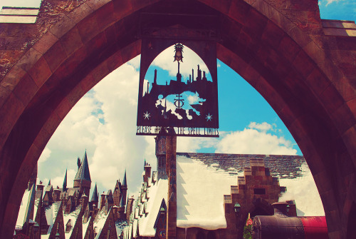 intoasylum:  The Wizarding World of Harry Potter | September 2010 
