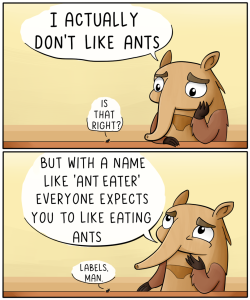 theodd1sout:    An anteater’s got to do
