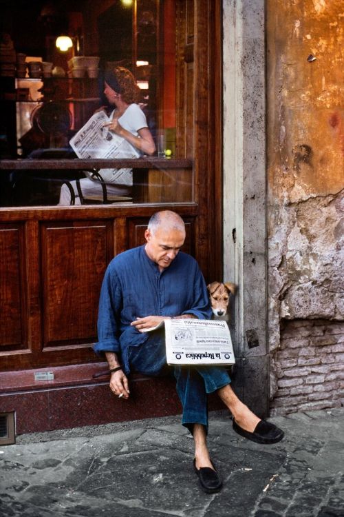 awesome-picz: Photographs That Explore The Relationship Between Animals And Humans By Steve McCurry 