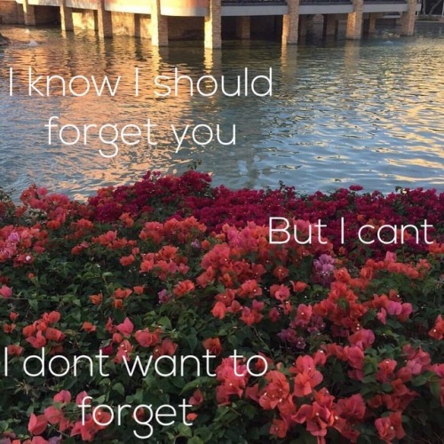 theoryofgoodbye