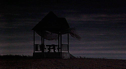 netals:“Nobody’s perfect. There was never a perfect person around. You just got half-devil and half-angel in you.”  Days of Heaven (1978)  dir. Terrence Malick