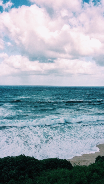 •The Ocean• (Credit to photographers, I did not take these photos) -A lot of you wanted th