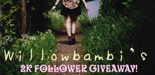 saepphire:saepphire:willowbambi:Hello beautiful people, so to celebrate reaching 2k subscribers I de