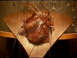 tiphares:deactivated20230315:happy valentines day from the beating human heart in the music video for Closer by Nine Inch Nails off The Downward Spiral (1994)@x-file 💖