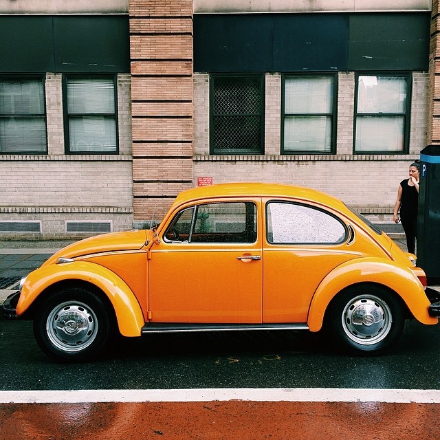 dapperlou:  •Beetle• 