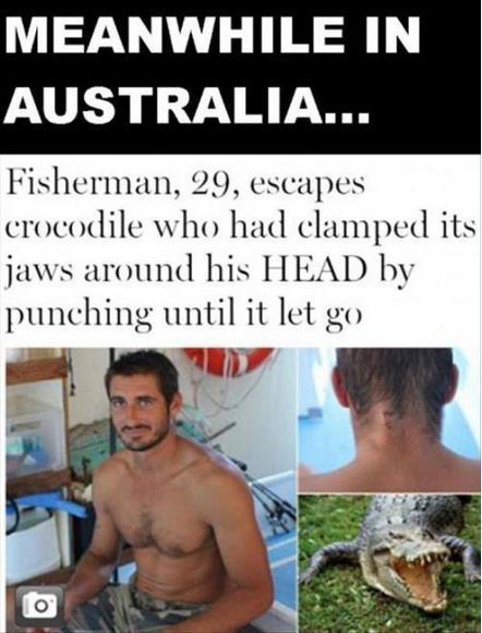 kanrose:  pleatedjeans:  Things Are a Little Different in Australia (21 Pics)  i’m australian and i’m not even sure australia is a real place anymore 