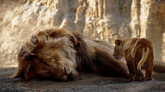 Chely Audi The Magic Girl Disneyliveaction The Lion King 19 Dir Jon