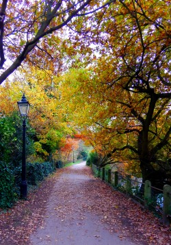 fuckitandmovetobritain:  Great Britain  [6] - Autumn - Hampstead Heath, Llanrwst, Richmond Park , Oxford, Lavenham, Chawton, Greenwich Park, Lower Slaughter, Oxford, Greenstead Church 