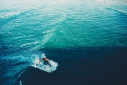 asurferdreams:  Surfing posts