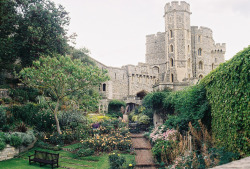 jacindaelena:  Windsor Castle by âmine