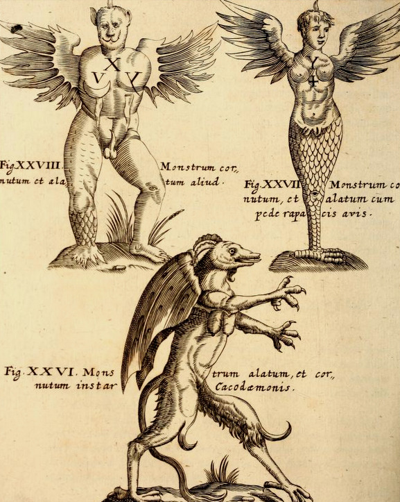 magictransistor:Gaspar Schott. Physica Curiosa, Mirabilia Naturæ et Artis. 1662. 