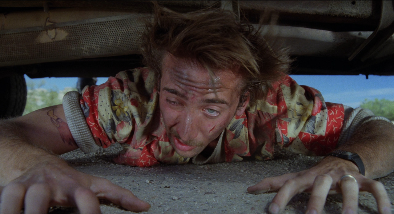 filmbytheframe: Raising Arizona, 1987 Director - Joel CoenCinematography - Barry