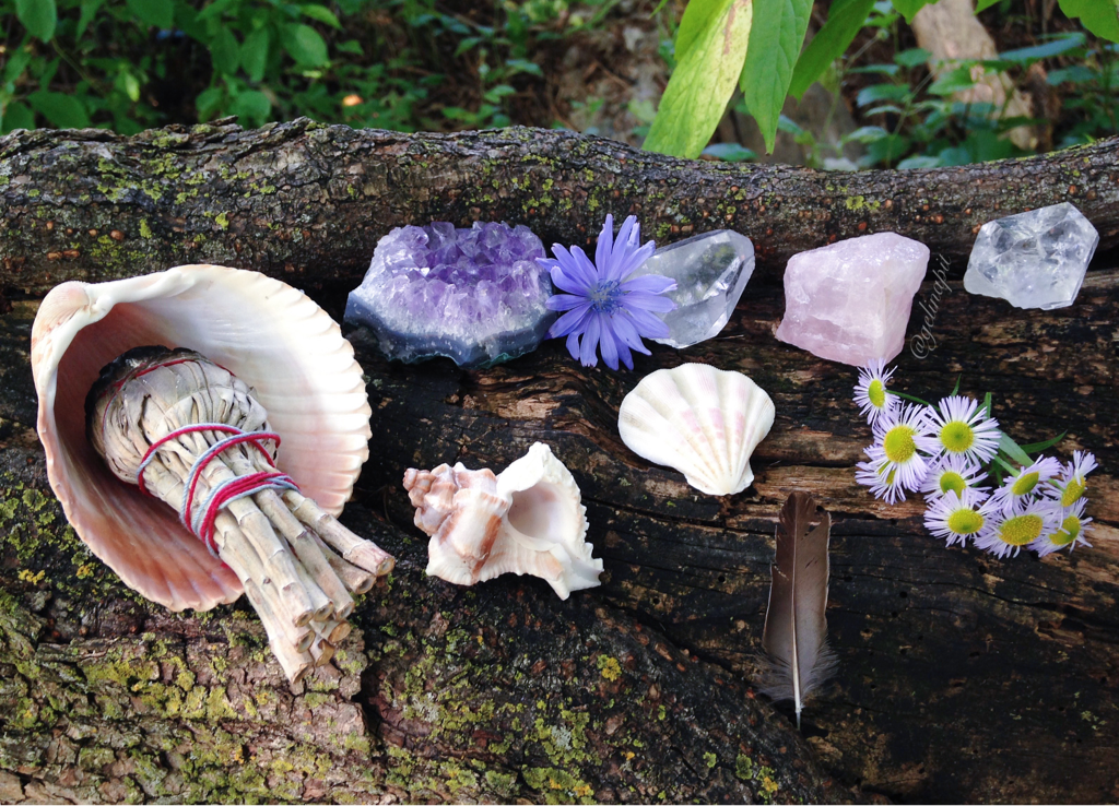 floralwaterwitch:  Quick little forest rituals from last week 🌿🔮✨