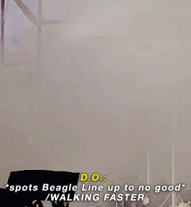 sehunned: When the Beagle Line would walk a Thousand Miles to terrorize Kyungsoo (cr.)