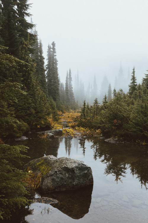 Hiking around Mount Rainier NP, Washington || IG: BToneVibes