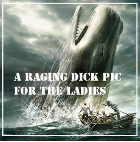 daddyskitten63:  southernsideofme:  For the Ladies…  Rotflmao….