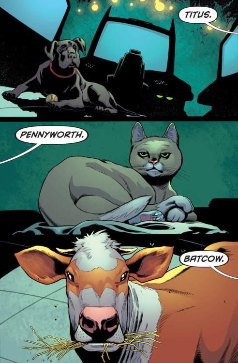 meant-to-be-a-hero:fantastigasmical:theoblivionmachine:The REAL DC TrinityDoes Batcow have a mask or just a really conve