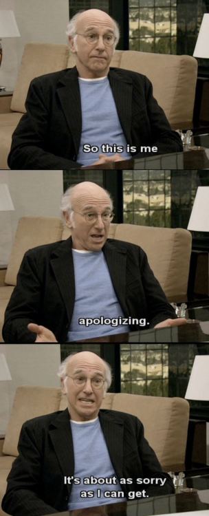 curb your enthusiasm