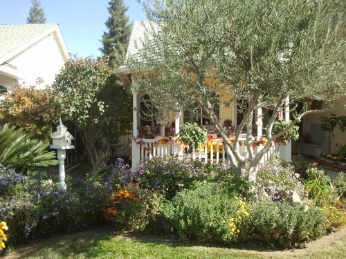 swishyhair:  Thanks to all of you who liked the picture of my grandmother’s backyard. Here’s her front porch, she keeps it in amazing shape with dozens of flowers and plants. She seemed touched when I told her how much I loved her home, which made