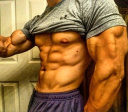 Adonis Files
