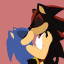 the-sonadow-chronicle