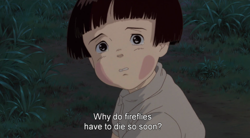 grave of the fireflies