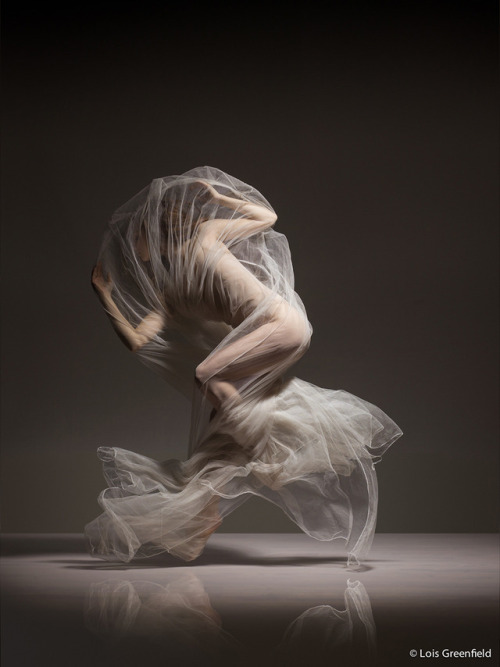 myampgoesto11: Lois Greenfield Artist statement: “I’ve spent the last 35 years of my pho