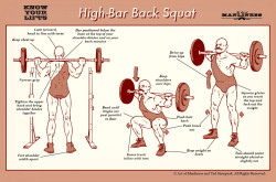 sarcasmbvnny:  whats-wrong-with-running:  eitlim:super handy illustrations for beginning lifters  I honestly would love to go to like a beginner lifters class, just like an introductory session. At my school the boys got taught how to use all the weights