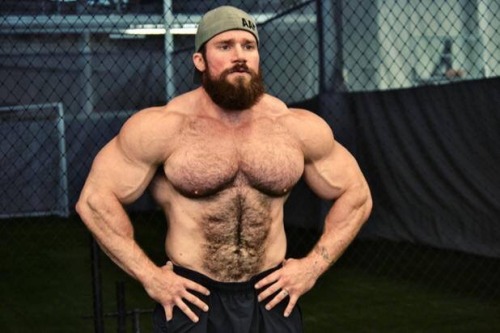 nippig:  Seth Feroce