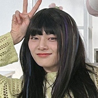 Stray Kids Matching Icons/metadinhas.