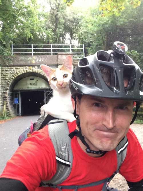 catsbeaversandducks:“When I stopped cycling this cat came out of the woods. I bent down to pet it th